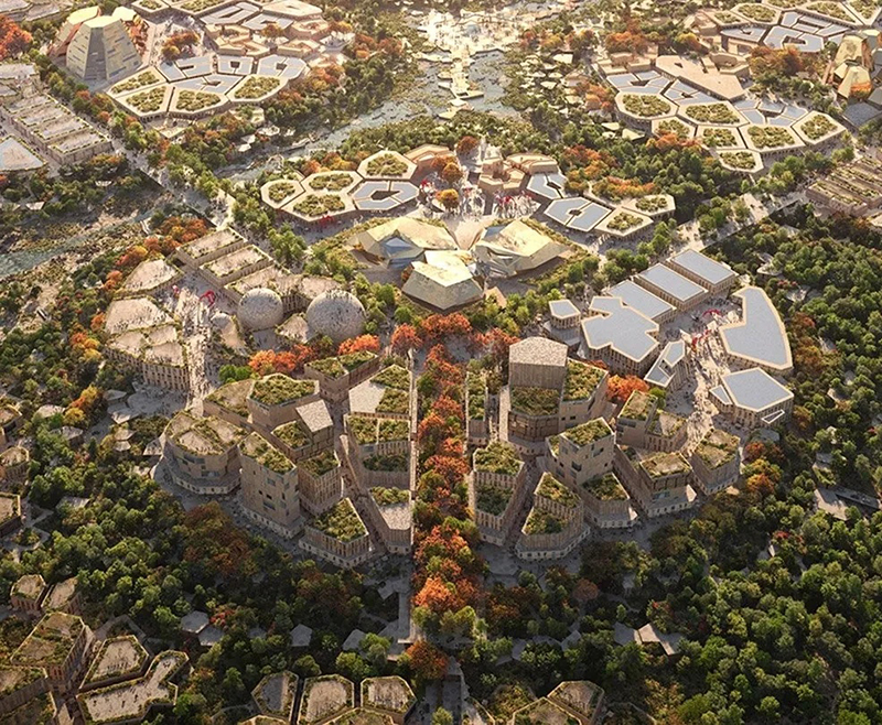 05.jpg
